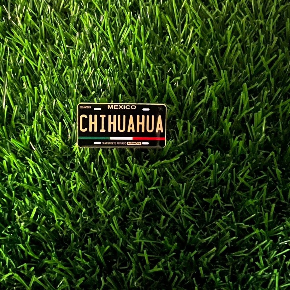 Chihuahua Mexico pin